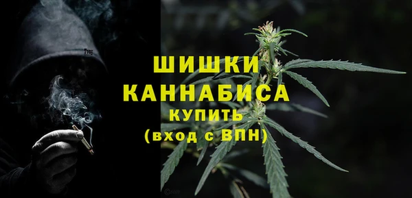 Альфа ПВП Белокуриха