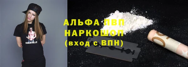 Альфа ПВП Белокуриха