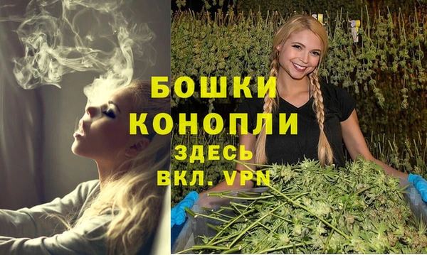 Альфа ПВП Белокуриха