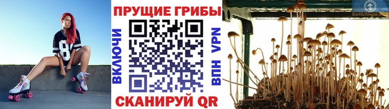 Галлюциногенные грибы Magic Shrooms  дарнет шоп  Козельск 